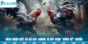 Cách nhận biết gà đá hay