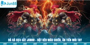 Đá gà cựa sắt