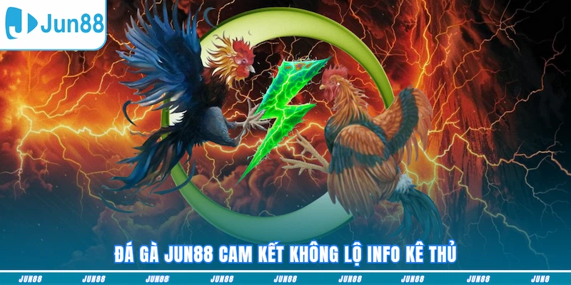 Đá gà JUN88 cam kết không lộ info kê thủ