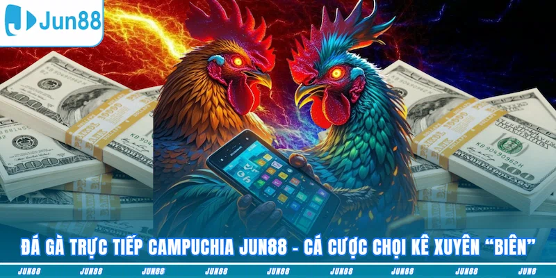 Đá gà trực tiếp Campuchia