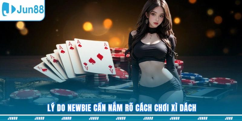  Lý do newbie cần nắm rõ cách chơi Xì Dách
