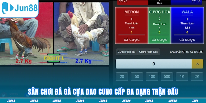 Sân chơi đá gà cựa dao cung cấp đa dạng trận đấu