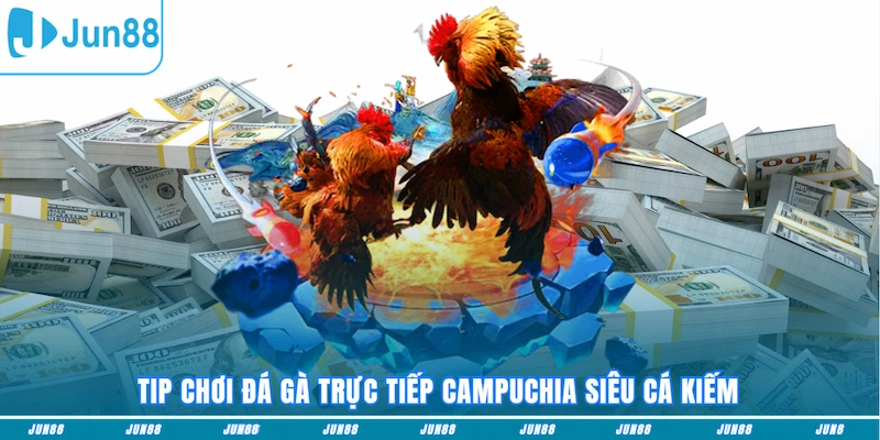 Tip chơi đá gà trực tiếp Campuchia siêu cá kiếm
