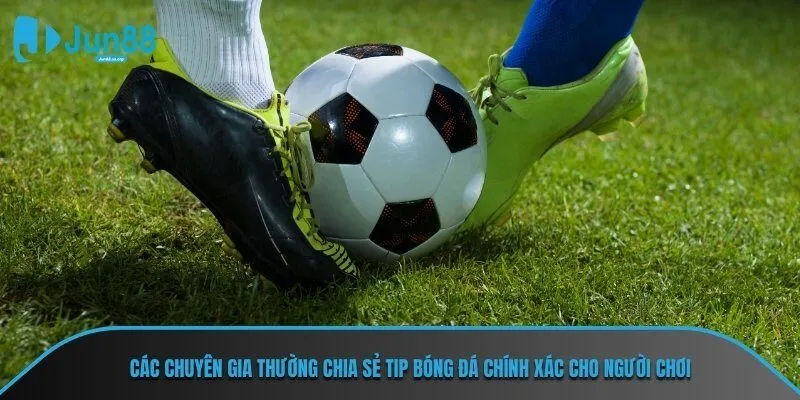 Tip bóng đá giúp cải thiện khả năng dự đoán kết quả cá cược